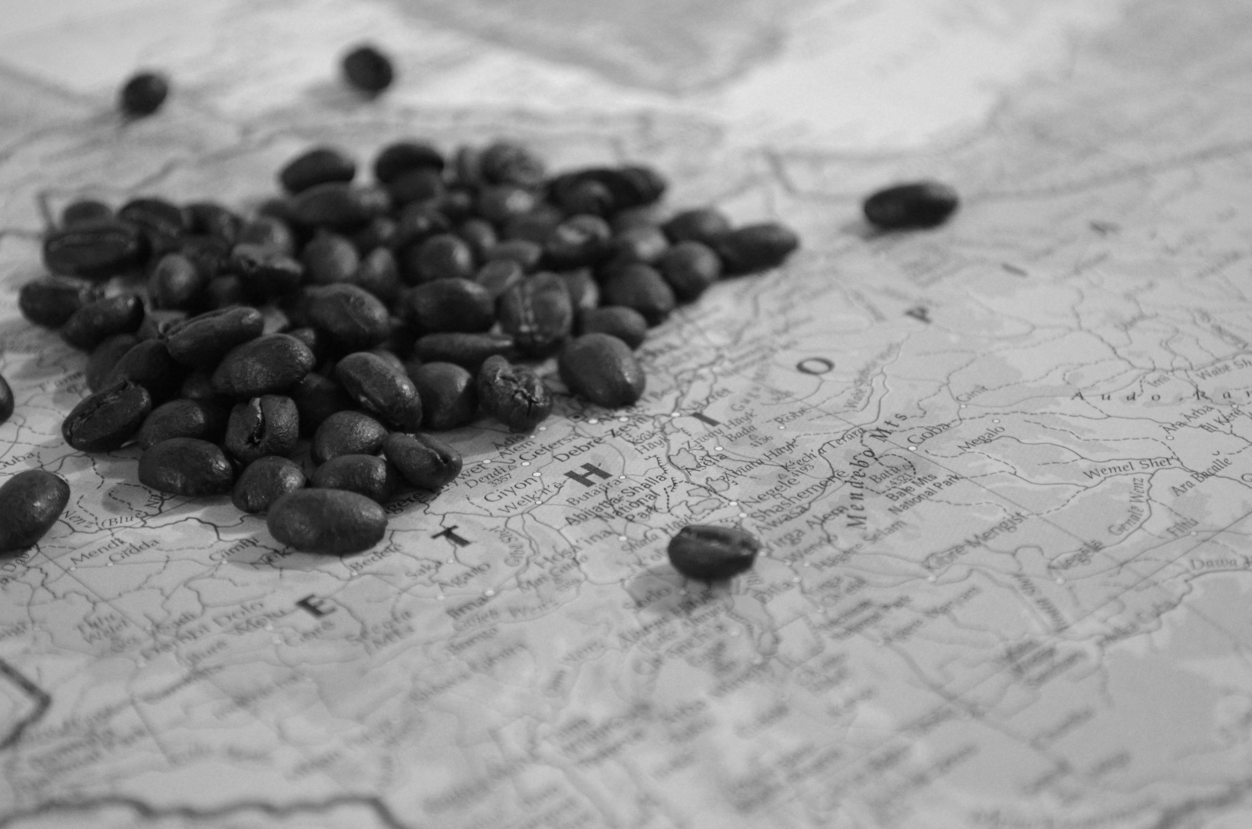 Caffè Internazionale: Esplorazione del Mondo attraverso il Gusto dal Guatemala