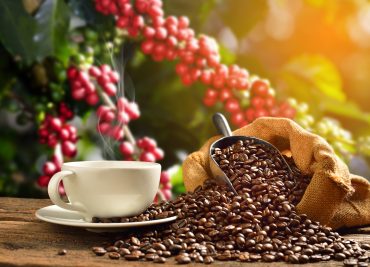 Chicchi di Caffè: Il Cuore e l'Anima della Tua Tazza Mattutina