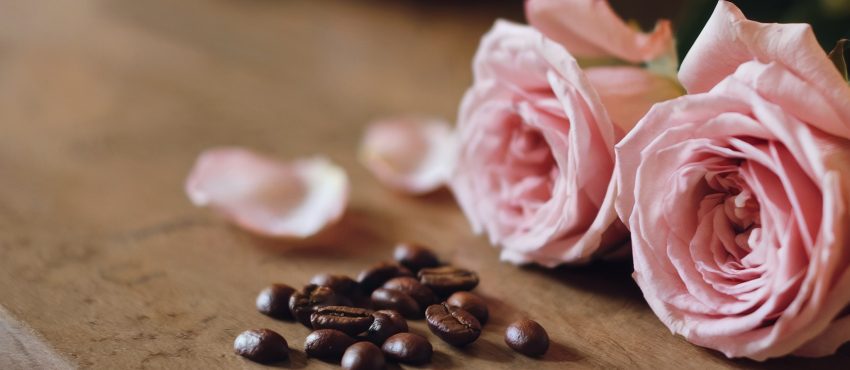 Il Caffè e l’Amore: Legami, Tradizioni e Curiosità da Tutto il Mondo